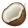 Coconote logo